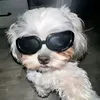 prime_ezekiel