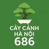 Cây Cảnh Hà Nội 86