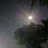 manisamani2680