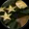 user2229244418340