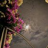 nooh_771