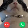 tindatng