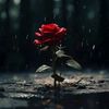 mustafa_mustafa_4.2