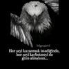 tk.gezgin