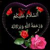 user93985445991381