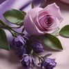 amna25210