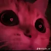 clutxhfaze3