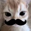 tragg_xam