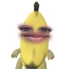 ragbz8