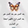 user6172519337088