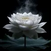noi.buon.tran430
