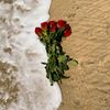 zahrahesham6