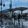 user3510862923688