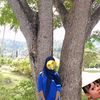 eppyy34