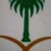 user4025474712743