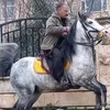 farzadــــــــnawroli01