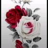 karyska.isye.aren