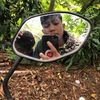 Fansya Muhammad
