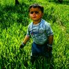 shaheenshahafridieagle0