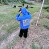 kiriks_liar