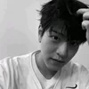 lino_s14