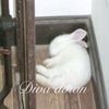 sleepysuu