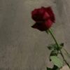 rahmamahmoud6349