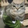 yapichino420