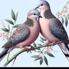 user3332727088654