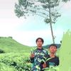 denibkl520
