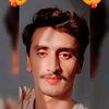 malik17203