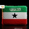nimco.maxamed.cii