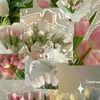 user8530816117193