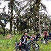 rmaa_stcuuu
