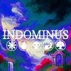 indominus885