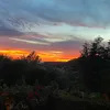 ariannaa.dav