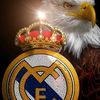 user8422003783529