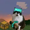 jj_6766