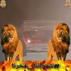 user4031513187415
