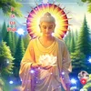 anh.giu7