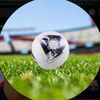 football.forays