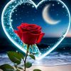 user1220494527019