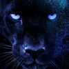the_hunter_0ne1