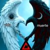 sebastian.gudio97