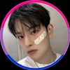 theofficial._.sillypuppy