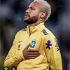 vitor.roque001