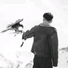 dpxl_soffi