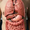 Anatomy Video