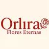 Flores Eternas 🌸