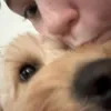 itskacey13